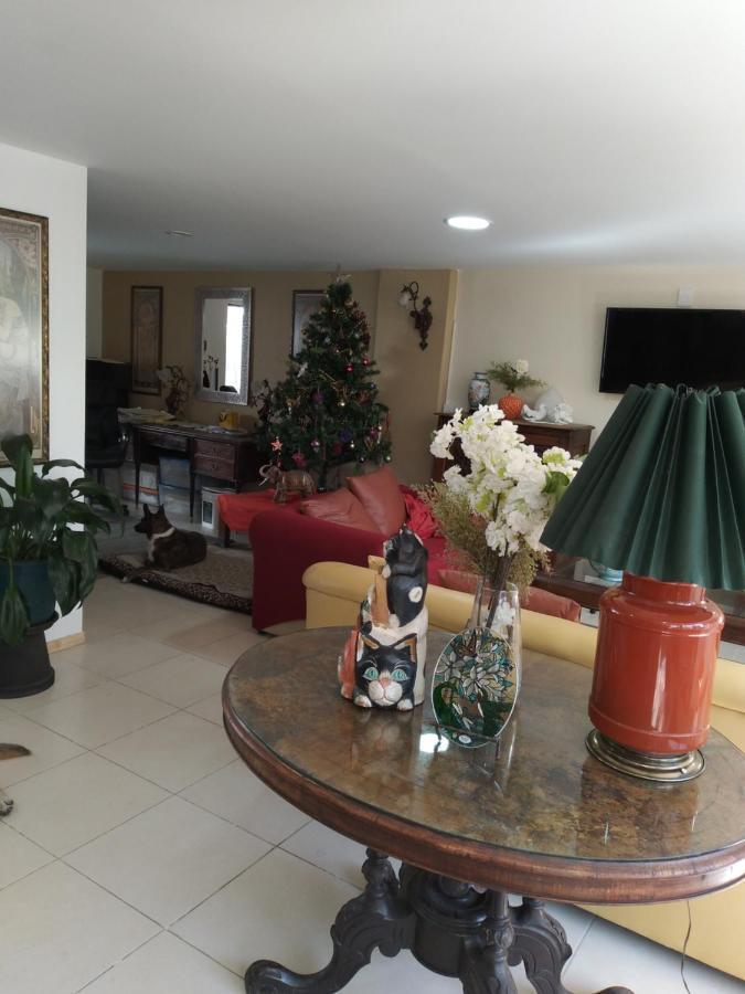 Charming Sunny Bedroom Overlooking Beautiful Amsterdam Avenue In Best Condesa Area Cidade do México Exterior foto